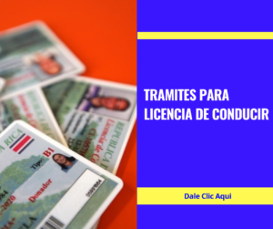 dictamen medico-www.tramitesparalicencias.com